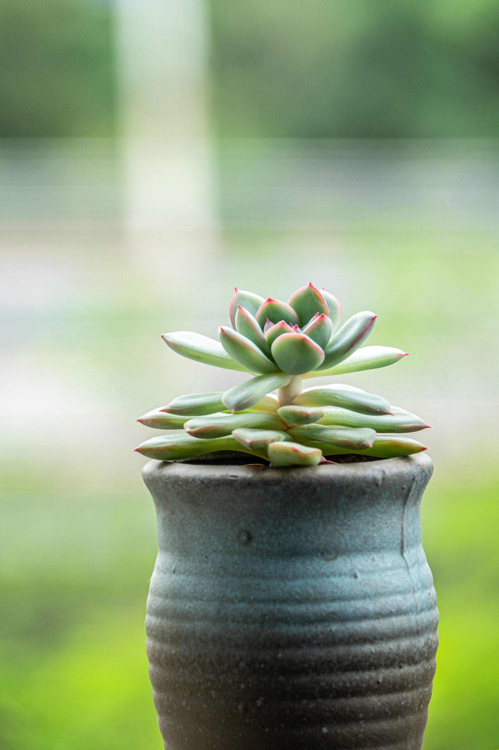 Pottery Planters